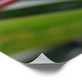 Rote und gelbe Plumeria 1 Poster (Ecke)