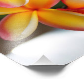 Rote und gelbe Plumeria 2 Fotodruck (Ecke)