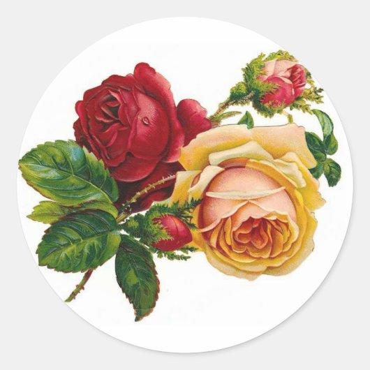 Rote und Gelbe Rosen Runder Aufkleber (Vorderseite)
