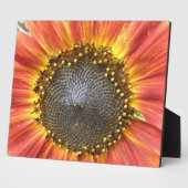Rote und gelbe Sonnenblumen Plaque Fotoplatte (Seite)