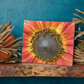 Rote und gelbe Sonnenblumen Plaque Fotoplatte (Seite)