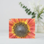 Rote und gelbe Sonnenblumen Postkarte (Stehend Vorderseite)