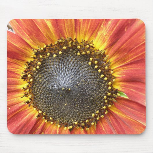 Rote und gelbe Sonnenblumenmousepad Mousepad (Vorne)