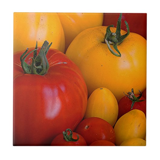Rote und gelbe Tomaten Fliese (Vorderseite)