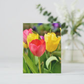 Rote und gelbe Tulips Frühlingspark Postkarte (Stehend Vorderseite)