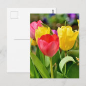 Rote und gelbe Tulips Frühlingspark Postkarte (Vorne/Hinten)