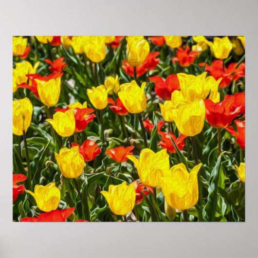 Rote und gelbe Tulissen Poster (Vorne)