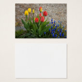 Rote und gelbe Tulpen (Vorne & Hinten)