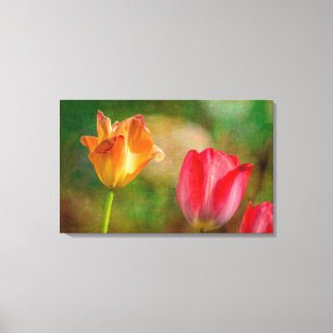 Rote und gelbe Tulpen auf texturiertem Hintergrund Leinwanddruck