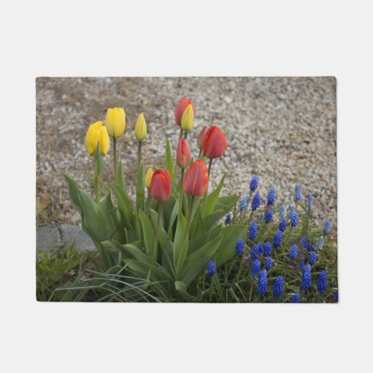 Rote und gelbe Tulpen Fußmatte (Vorderseite)