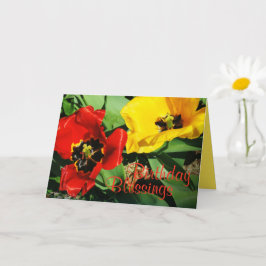 Rote und gelbe Tulpen Geburtstagskarte Karte