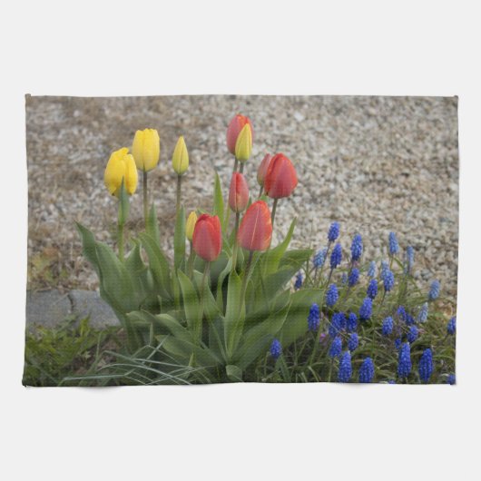 Rote und gelbe Tulpen Geschirrtuch (Horizontal)