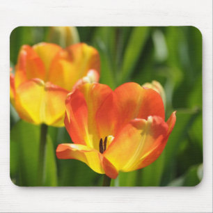Rote und gelbe Tulpen im Frühjahrsgarten Mousepad