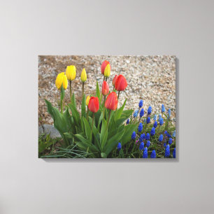 Rote und gelbe Tulpen Leinwanddruck