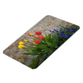 Rote und gelbe Tulpen Magnet (Linke Seite)