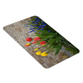 Rote und gelbe Tulpen Magnet (Rechte Seite)