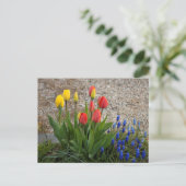 Rote und gelbe Tulpen Postkarte (Stehend Vorderseite)