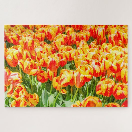 Rote und gelbe Tulpen Puzzle (Horizontal)
