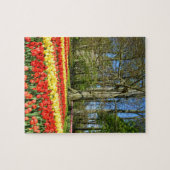 Rote und gelbe Tulpen Puzzle (Horizontal)