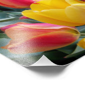 Rote und gelbe Tulpen Steingarten Foto (Ecke)