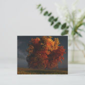 Rote und Gold Postkarte (Stehend Vorderseite)