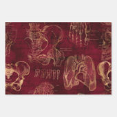 Rote und Goldanatomie Zeichnend auf Rot Geschenkpapier Set (Vorderseite 2)