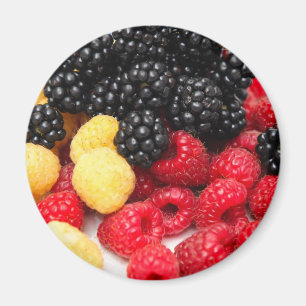 Rote und goldene Himbeeren Magnet