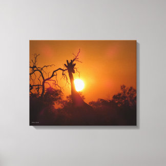 Rote und goldene Sonnenuntergang mit einer Giraffe Leinwanddruck