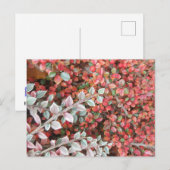 Rote und grüne Blätter DIY Postkarte (Vorne/Hinten)