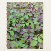 Rote und grüne Blätter Zweige Fotografie Planer (Vorderseite)