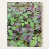 Rote und grüne Blätter Zweige Fotografie Planer (Rückseite)