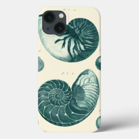 Rote und grüne Seashell-Kunst Case-Mate iPhone Hülle (Rückseite)