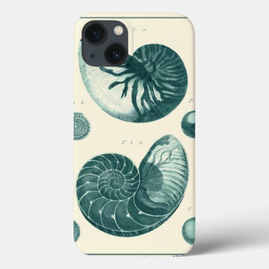 Rote und grüne Seashell-Kunst Case-Mate iPhone Hülle (Rückseite)