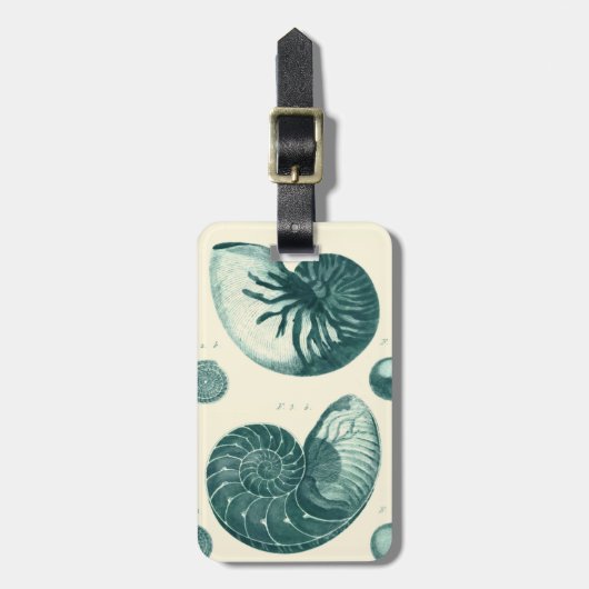 Rote und grüne Seashell-Kunst Gepäckanhänger (Vorderseite vertikal)