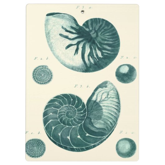 Rote und grüne Seashell-Kunst Klemmbrett (Rückseite)