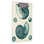 Rote und grüne Seashell-Kunst Klemmbrett (Rechts)