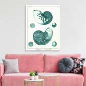 Rote und grüne Seashell-Kunst Leinwanddruck (Insitu (Wohnzimmer))