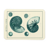 Rote und grüne Seashell-Kunst Magnet (Horizontal)