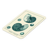 Rote und grüne Seashell-Kunst Magnet (Linke Seite)