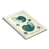 Rote und grüne Seashell-Kunst Notizblock (Rechte Seite)