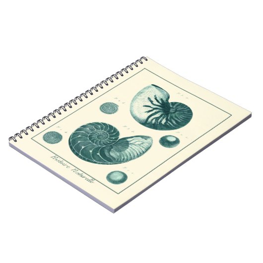 Rote und grüne Seashell-Kunst Notizblock (Linke Seite)