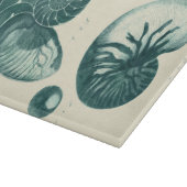 Rote und grüne Seashell-Kunst Schneidebrett (Ecke)