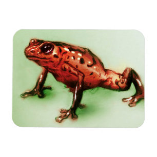 Rote und grüne Tierkunst, Foto Magnet - Frosch