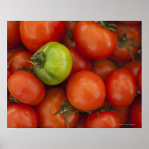 Rote und grüne Tomaten mit einem Schild für den Ve