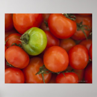 Rote und grüne Tomaten mit einem Schild für den Ve