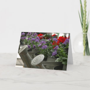 rote und lila Blumen in den Bewässerungsdosen Karte