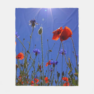 Rote und lila Rose, die sich einem blauen Himmel u Fleecedecke