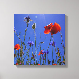 Rote und lila Rose, die sich einem blauen Himmel u Leinwanddruck