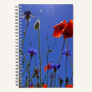 Rote und lila Rose, die sich einem blauen Himmel u Notizblock