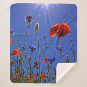 Rote und lila Rose, die sich einem blauen Himmel u Sherpadecke